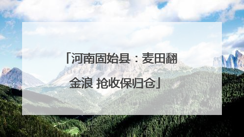 河南固始县：麦田翻金浪 抢收保归仓