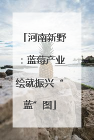 河南新野：蓝莓产业绘就振兴“蓝”图
