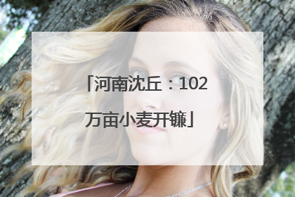 河南沈丘：102 万亩小麦开镰