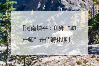 河南镇平：鱼卵“助产师”走俏孵化期