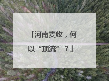 河南麦收，何以“顶流”？