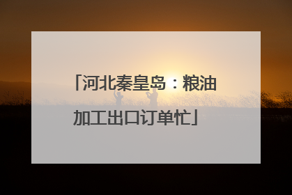 河北秦皇岛：粮油加工出口订单忙