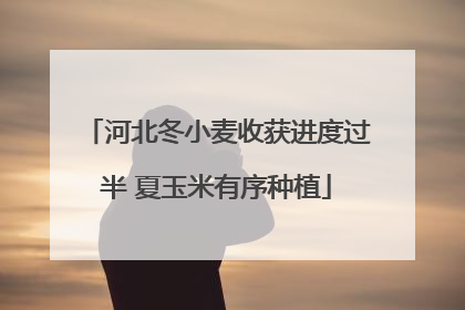 河北冬小麦收获进度过半 夏玉米有序种植