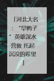 河北大名：“旱鸭子”英雄深水营救 托起沉没的希望