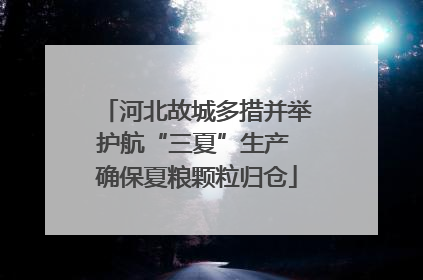 河北故城多措并举护航“三夏”生产 确保夏粮颗粒归仓