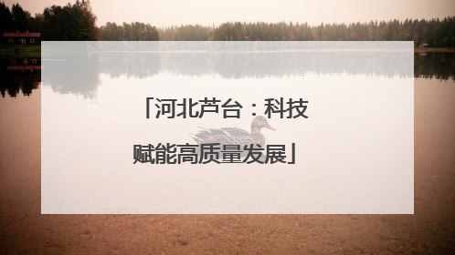 河北芦台：科技赋能高质量发展