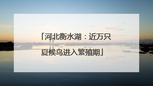 河北衡水湖：近万只夏候鸟进入繁殖期