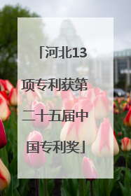 河北13项专利获第二十五届中国专利奖