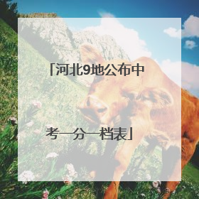 河北9地公布中考一分一档表