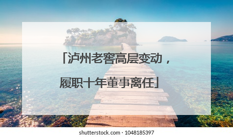 泸州老窖高层变动，履职十年董事离任