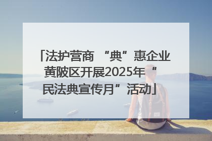 法护营商 “典”惠企业 黄陂区开展2025年“民法典宣传月”活动