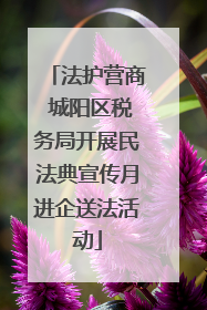 法护营商 城阳区税务局开展民法典宣传月进企送法活动