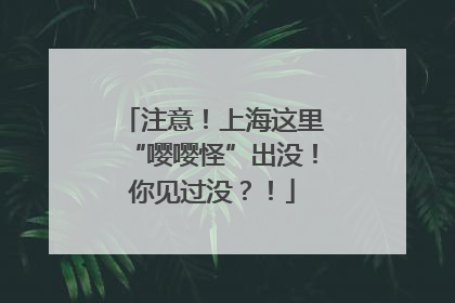 注意！上海这里“嘤嘤怪”出没！你见过没？！