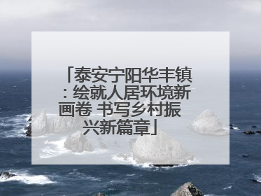 泰安宁阳华丰镇：绘就人居环境新画卷 书写乡村振兴新篇章