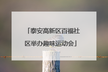 泰安高新区百福社区举办趣味运动会