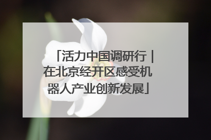 活力中国调研行｜在北京经开区感受机器人产业创新发展