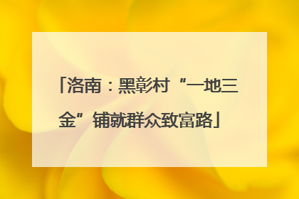 洛南：黑彰村“一地三金”铺就群众致富路