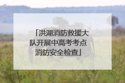 洪湖消防救援大队开展中高考考点消防安全检查