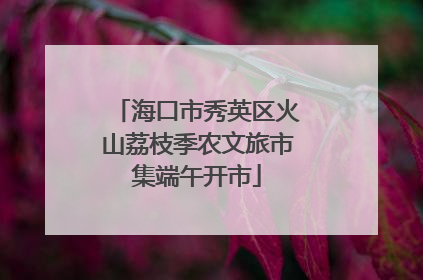 海口市秀英区火山荔枝季农文旅市集端午开市