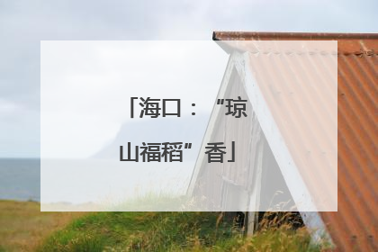 海口：“琼山福稻”香