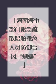 海南海事部门紧急疏散船舶撤离人员防御台风“蝴蝶”