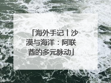 海外手记丨沙漠与海洋：阿联酋的多元脉动