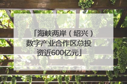 海峡两岸（绍兴）数字产业合作区总投资近600亿元