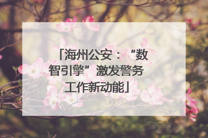 海州公安：“数智引擎”激发警务工作新动能