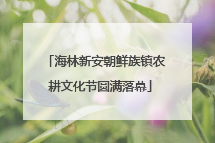 海林新安朝鲜族镇农耕文化节圆满落幕