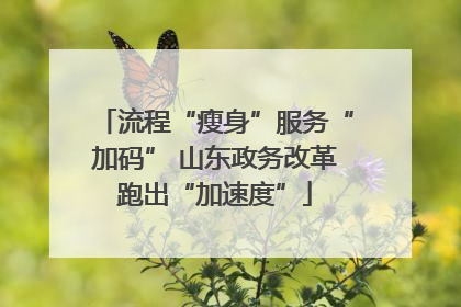 流程“瘦身”服务“加码” 山东政务改革跑出“加速度”