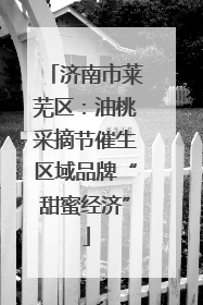 济南市莱芜区：油桃采摘节催生区域品牌“甜蜜经济”