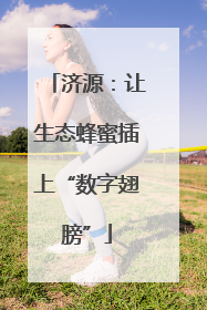 济源：让生态蜂蜜插上“数字翅膀”