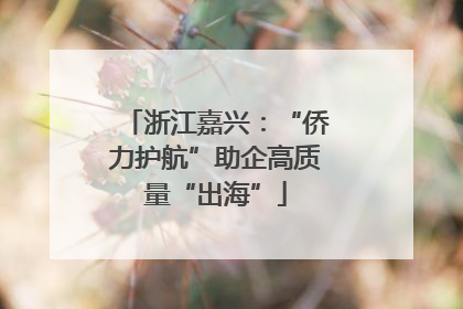 浙江嘉兴：“侨力护航”助企高质量“出海”