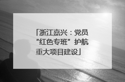 浙江嘉兴：党员“红色专班”护航重大项目建设