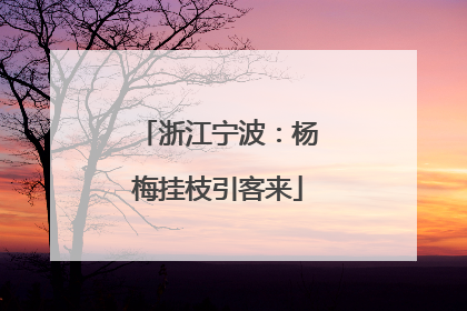浙江宁波：杨梅挂枝引客来