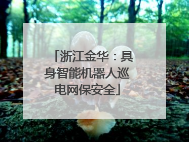 浙江金华：具身智能机器人巡电网保安全