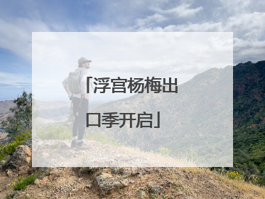 浮宫杨梅出口季开启