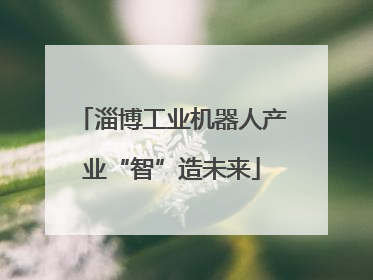 淄博工业机器人产业“智”造未来