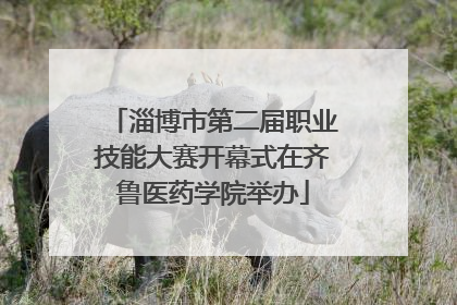 淄博市第二届职业技能大赛开幕式在齐鲁医药学院举办