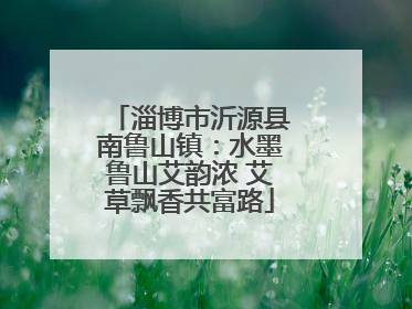 淄博市沂源县南鲁山镇：水墨鲁山艾韵浓 艾草飘香共富路