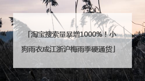 淘宝搜索量暴增1000%！小狗雨衣成江浙沪梅雨季硬通货