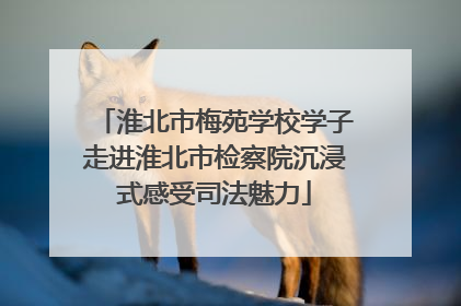 淮北市梅苑学校学子走进淮北市检察院沉浸式感受司法魅力