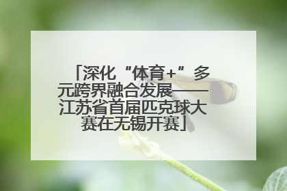 深化“体育+”多元跨界融合发展——江苏省首届匹克球大赛在无锡开赛