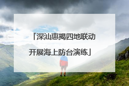 深汕惠揭四地联动开展海上防台演练
