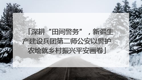 深耕“田间警务”，新疆生产建设兵团第二师公安以警护农绘就乡村振兴平安画卷