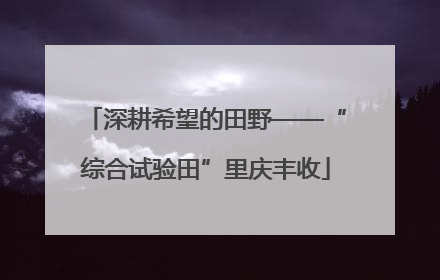 深耕希望的田野——“综合试验田”里庆丰收