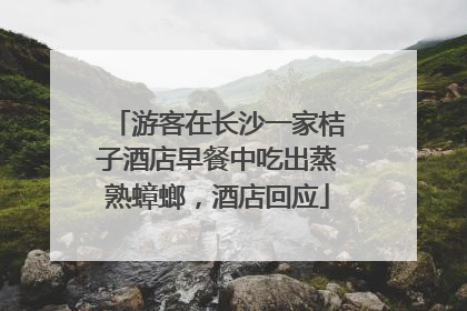 游客在长沙一家桔子酒店早餐中吃出蒸熟蟑螂，酒店回应