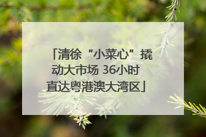 清徐“小菜心”撬动大市场 36小时直达粤港澳大湾区