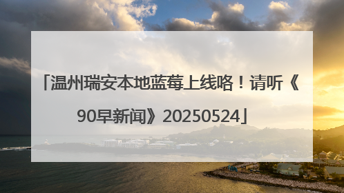 温州瑞安本地蓝莓上线咯！请听《90早新闻》20250524