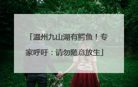 温州九山湖有鳄鱼！专家呼吁：请勿随意放生